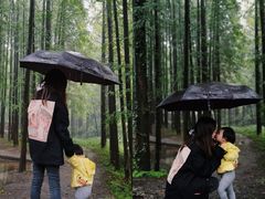 -山王坪喀斯特国家生态公园