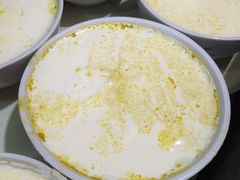 -德禄酸奶(莫家街店)