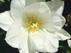 -长春公园(普阳街道)