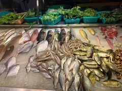 -长平老姿娘夜粥(平东一街店)