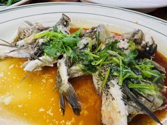 -八仔大富楼·河鲜(西江店)