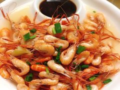 盐水虾-全乐鱼馆·淳牌有机鱼直营店