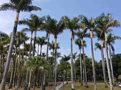 -荔香公园