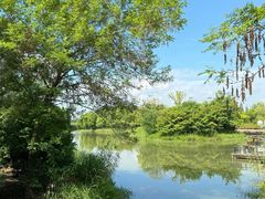 -梁鸿国家湿地公园