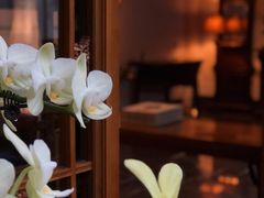 -北京古城老院厉晓麟精致菜