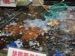 -雅盛品931海鲜酒家