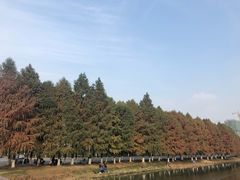 -昆山城市生态森林公园