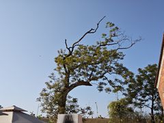 -马头山