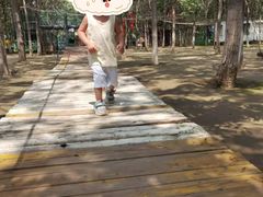 -草根堂农场