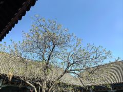 -张学良旧居陈列馆