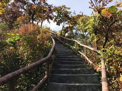 -天女山森林公园
