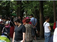-人民公园-相亲角