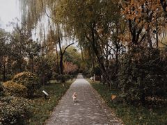 -唐城墙遗址公园