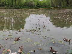 -西安浐灞国家湿地公园