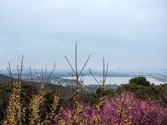 -香雪海