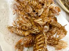 椒盐皮皮虾-宾朋海鲜饭庄(兴海路店)