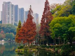 -重庆彩云湖湿地公园