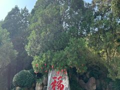 -潭柘寺景区
