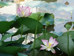 校园-华南师范大学(广州大学城校区)