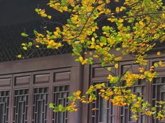 -北山街历史文化街区