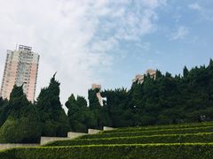 -上海市龙华烈士陵园