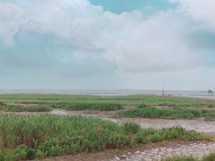 -南汇嘴观海公园