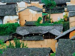 -杨家堂村