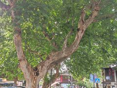 -小河直街历史文化街区