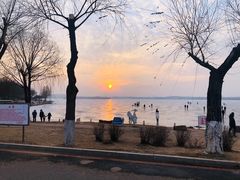 -丁香湖公园