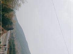 -中原农家乐(中原饭店)