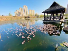 -前关湿地公园