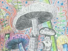 -大卫美术教育(中南路校区)