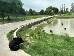 -上海野生动物园
