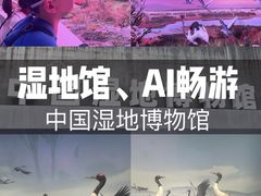 -中国湿地博物馆