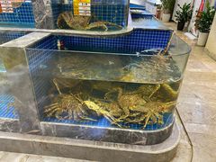 -骏莱海鲜鱼港(五角场店)