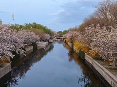 -元大都城垣遗址公园