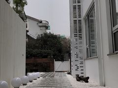 -威廉的太妃糖酒店(杭州西湖青芝坞店)