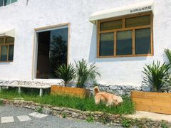 -阿哈湖国家湿地公园