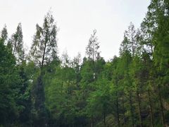 -武当山风景区