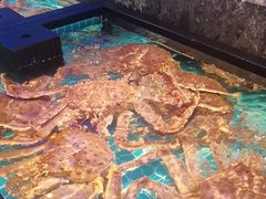 -忆江南·临江鱼馆