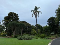 -墨尔本皇家植物园