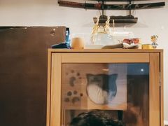 -Mr.Fox狐狸先生超级密室(南山店)