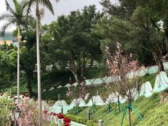 -龙环葡韵住宅式博物馆