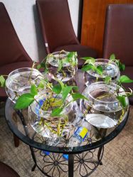 -红馆妆造(中央大街店)