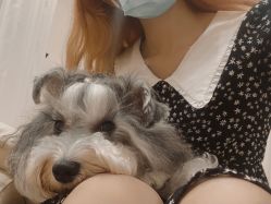 -Adore nail日式美甲美睫