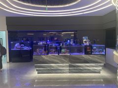 -1013 PET SHOP精品宠物商店(丁香店)