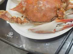 -北塘海鲜·天津菜(大光明桥旗舰店)