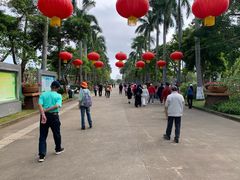 -万绿园