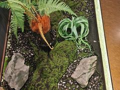 -印巷里主题餐厅(马鞍山店)