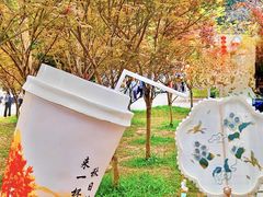 -广州市帽峰山景区